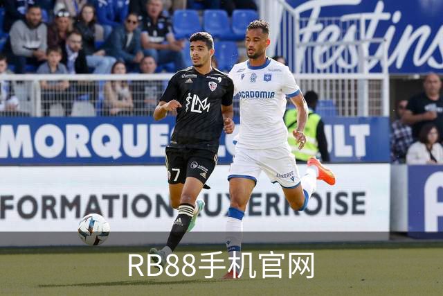 RB88手机官网公司简介图片